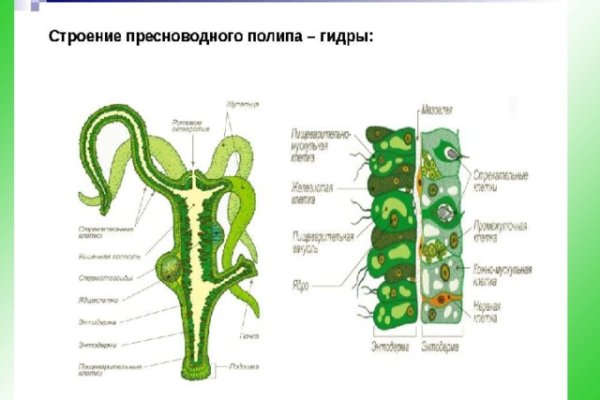 Не зачисляются деньги на кракен