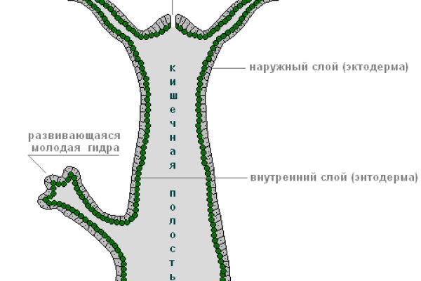 Новая ссылка кракена