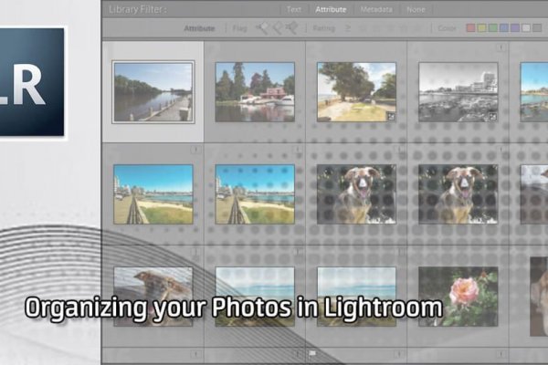 Сайт кракен не работает почему