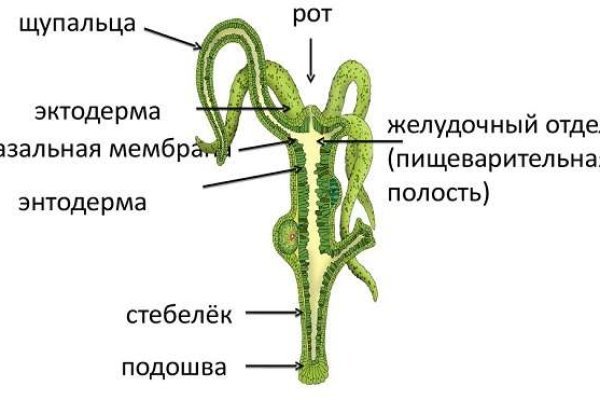 Кракен ссылки тор рабочая